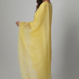 Hania Kurta Set